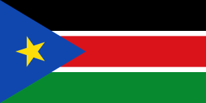 Flag of the Republic of South Sudan